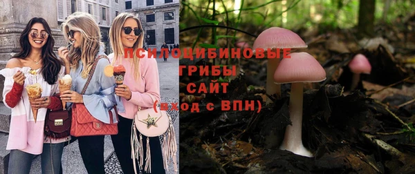 шишки Зеленодольск