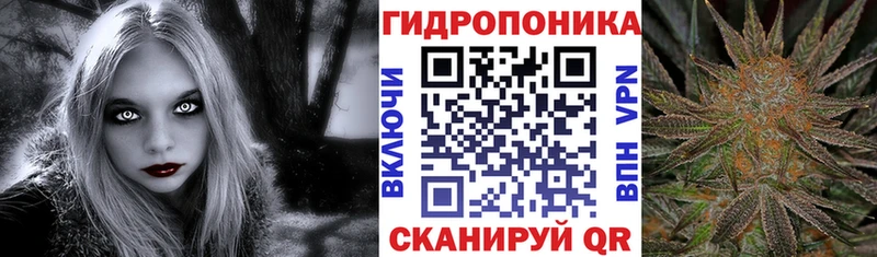 Шишки марихуана Bruce Banner  как найти закладки  Цоци-Юрт 